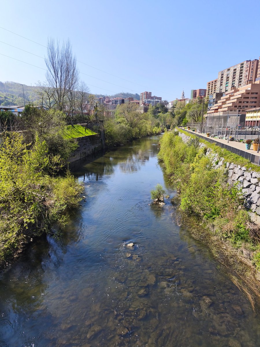 Egun on! 😊
#ibaia
#asteanbehin
#sasitxiotx