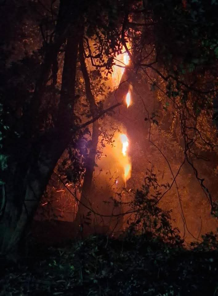 derechoderepli's tweet photo. Pobladores Ocotitlan , Tepoztlán piden apoyo para evacuar a la población. https://t.co/JcqUE6cNTE