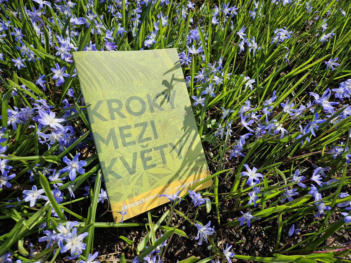 BotankaTeplice's tweet photo. Kroky mezi květy?
Tak zní název naší nové brožury, kterou dostane každý návštěvník zdarma ke vstupence. Najdete v ní důležité informace o zahradě, mapy a tipy na každé roční období.
Chcete vidět novou brožuru? Tak honem na návštěvu do botanky. https://t.co/r0nbHgKEaq