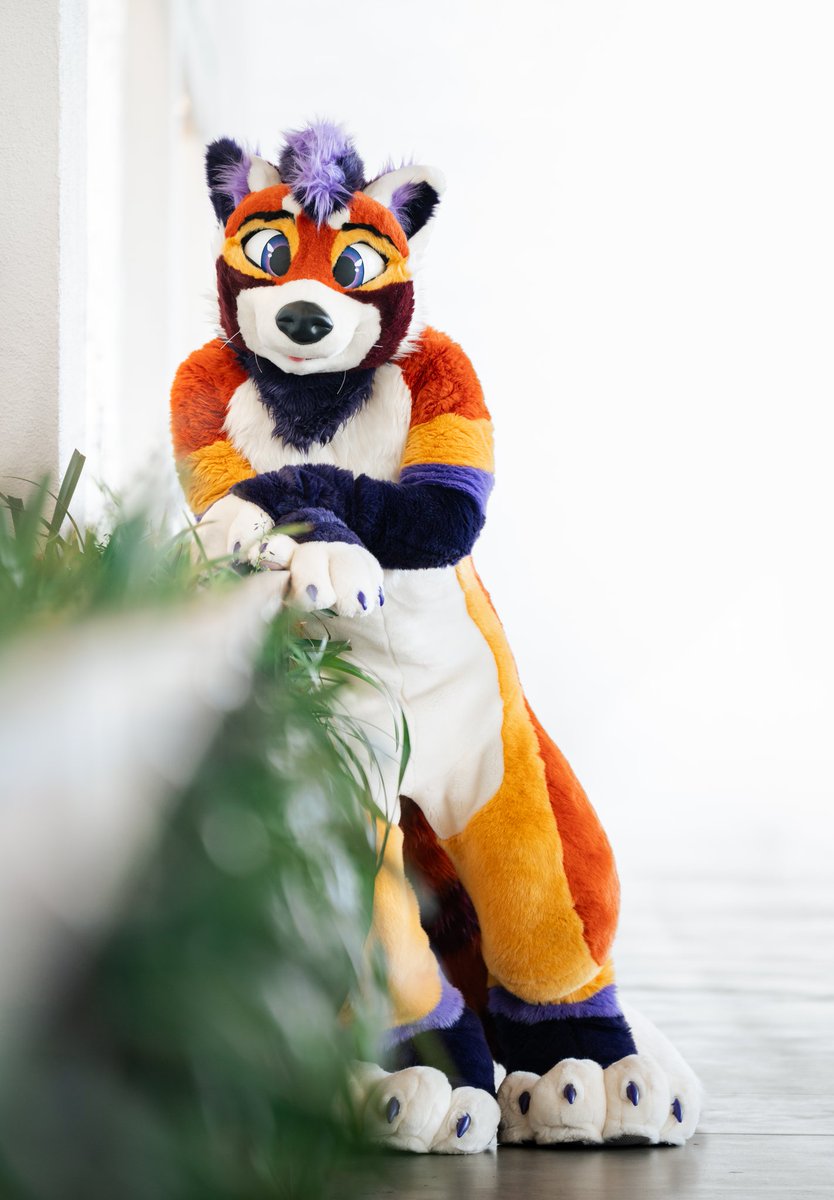 Crow Creations Fur-tography! ๐ GSFC+FWA+AC! (@_crowcreations_) on Twitter photo ๐งก๐ผ - The best red panda I know!
<a href="/ArcherEmberpelt/">Archer ๐ DenFur</a> is seriously amazing, and so fun to take photos with! ๐ฅฐ๐ธ go check them out!
๐ Made by <a href="/WaggeryCos/">Waggery Costumes</a>
๐ธ By me
#fursuitfriday #furries #furryfandom #furrypride #paws #fursuit #fursuitmaker #furry ๐งก๐ผ - The best red panda I know!
<a href="/ArcherEmberpelt/">Archer ๐ DenFur</a> is seriously amazing, and so fun to take photos with! ๐ฅฐ๐ธ go check them out!
๐ Made by <a href="/WaggeryCos/">Waggery Costumes</a>
๐ธ By me
#fursuitfriday #furries #furryfandom #furrypride #paws #fursuit #fursuitmaker #furry