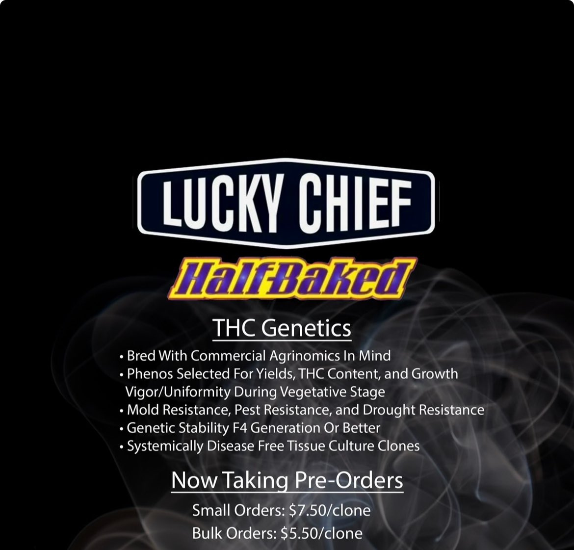 Lucky_Chief's tweet photo. Smoke Lucky https://t.co/dVPQ8TPbEj