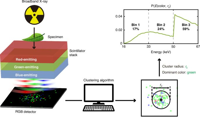 LightSciAppl's tweet image. #LSA_Highlight: [Research Article] End-to-end design of multicolor scintillators for enhanced energy resolution in X-ray imaging. @MIT @kaistpr @Harvard @Stanford #Imaging_and_sensing #X-rays
nature.com/articles/s4137…