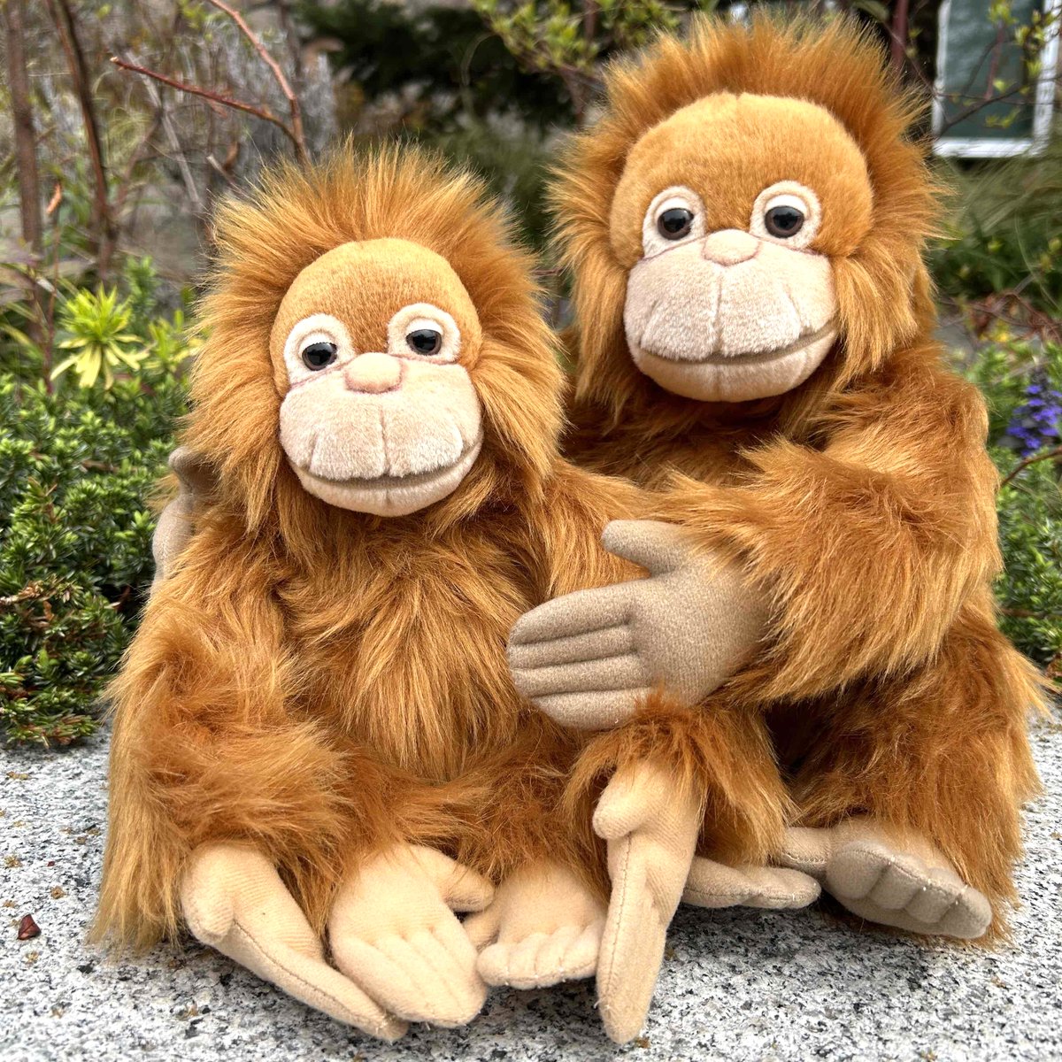 旭山動物園　オランウータン　ぬいぐるみ　NAO's stuff 旭山動物園 オランウータン ぬいぐるみ NAO's stuff 旭山動物園