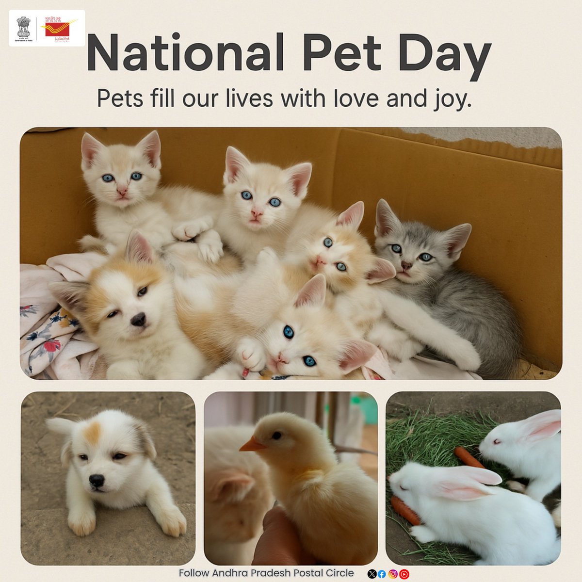 appostalcircle's tweet photo. 🐾 Happy National Pet Day!
From wagging tails to gentle purrs, our pets fill our lives with unconditional love and joy.
Let’s celebrate the companions who deliver happiness every day! 💌🐶🐱🐇
#NationalPetDay #PetsOfIndia #AndhraPradeshPostalCircle #IndiaPost #ChatGPT #AI https://t.co/c12H7GNpAE