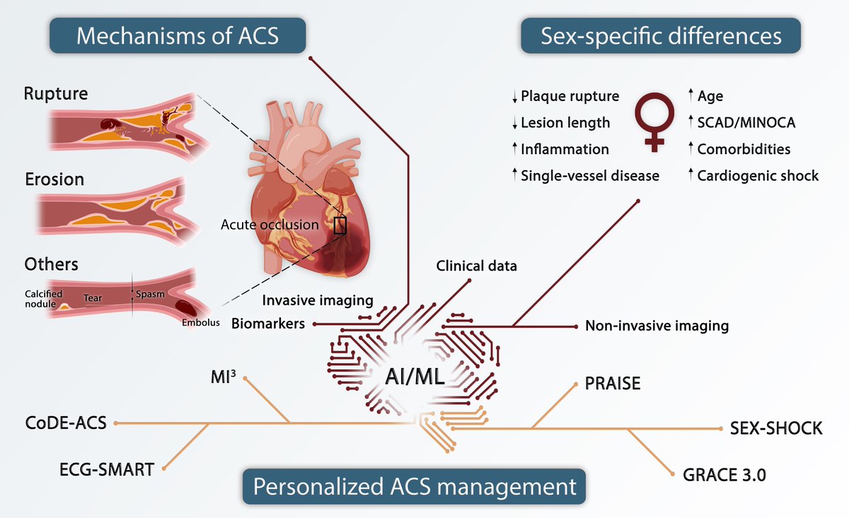 Simon Kraler (@kralersimon) on Twitter photo How AI/ML transforms cardiovascular risk assessment, have a look at:
👉 doi.org/10.1111/eci.70… 👈
Great team-work now up <a href="/EJCI_News/">European Journal of Clinical Investigation</a> led by <a href="/yifanwanguzh/">yifan wang</a>! Big thanks to <a href="/liberale_luca/">Luca Liberale</a> <a href="/DavideDiVece/">Davide Di Vece</a> <a href="/ESCI_Society/">ESCI</a> <a href="/KimonStamatel/">Kimon Stamatelopoulos</a> <a href="/TomLuscher/">CardioTomLuscher</a> How AI/ML transforms cardiovascular risk assessment, have a look at:
👉 doi.org/10.1111/eci.70… 👈
Great team-work now up <a href="/EJCI_News/">European Journal of Clinical Investigation</a> led by <a href="/yifanwanguzh/">yifan wang</a>! Big thanks to <a href="/liberale_luca/">Luca Liberale</a> <a href="/DavideDiVece/">Davide Di Vece</a> <a href="/ESCI_Society/">ESCI</a> <a href="/KimonStamatel/">Kimon Stamatelopoulos</a> <a href="/TomLuscher/">CardioTomLuscher</a>