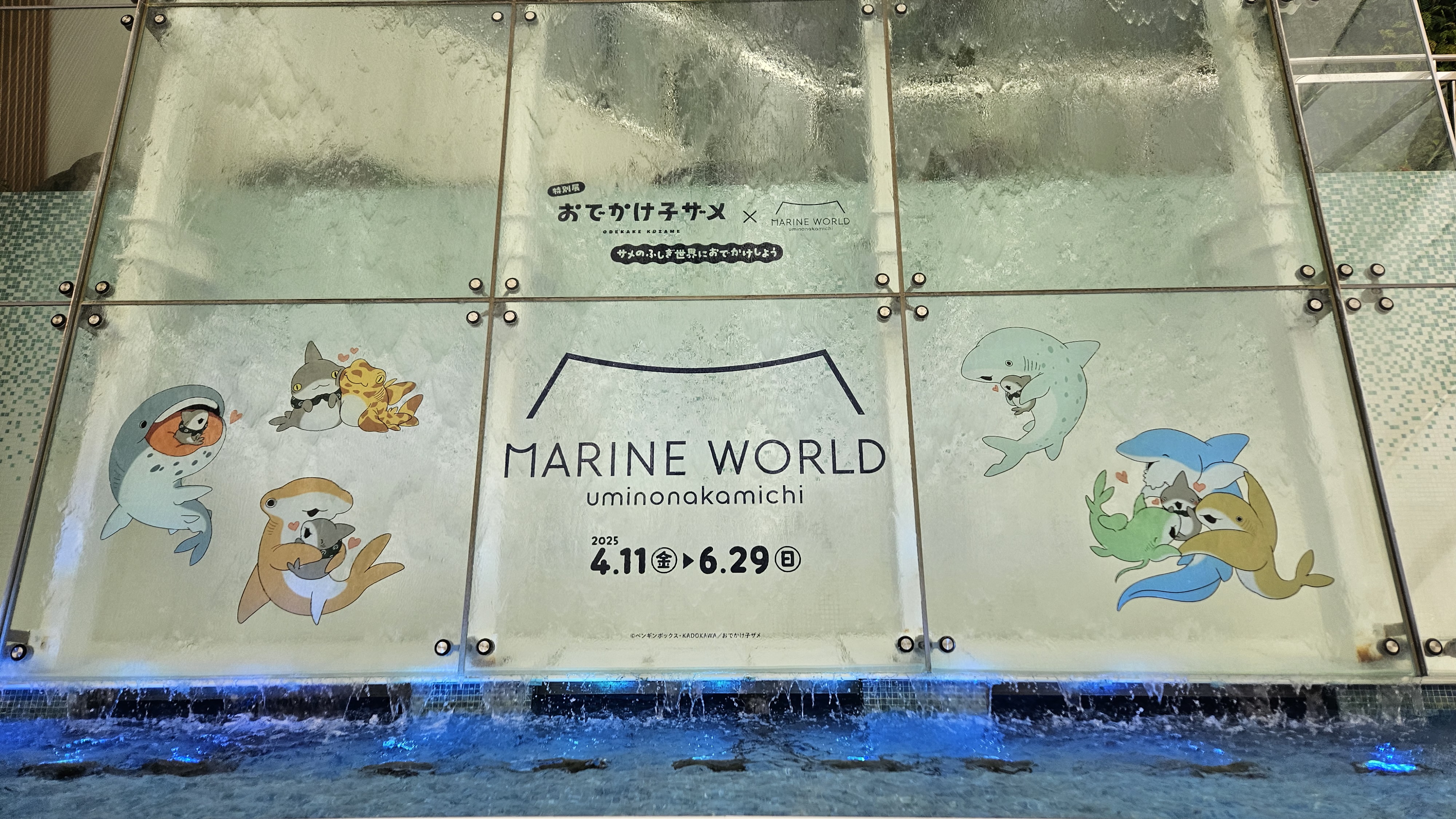 【最終値下げ】おでかけ小ザメ マリンワールド コラボ セット まとめ売り コンプ GpSomsVbYAMEF_C.jpg