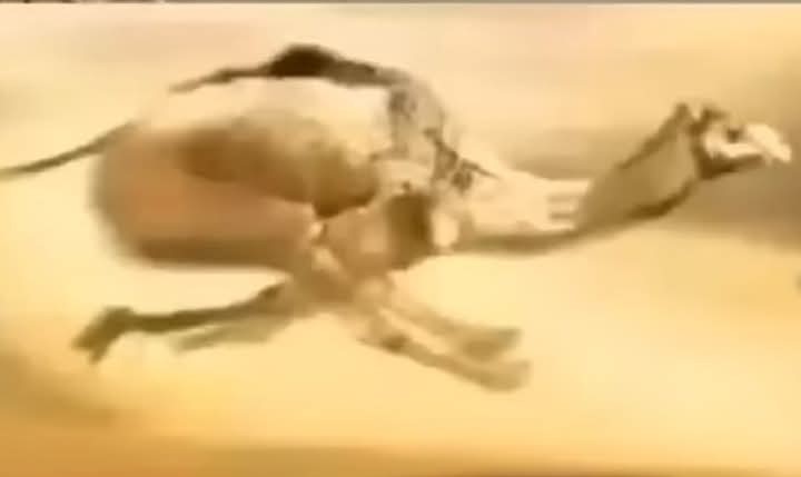 البنت لما تسمع جوالها يرن بالصاله وهي في المطبخ😂😂