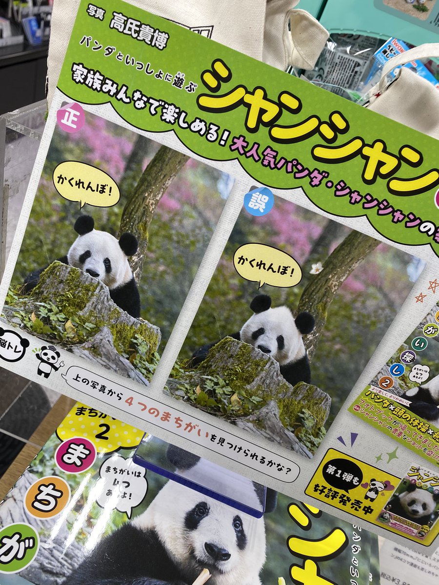 パンダ•*¨*•.¸♬︎ 上海野生動物園の赤ちゃんパンダ 名前は「七七」に_中国国際放送局
