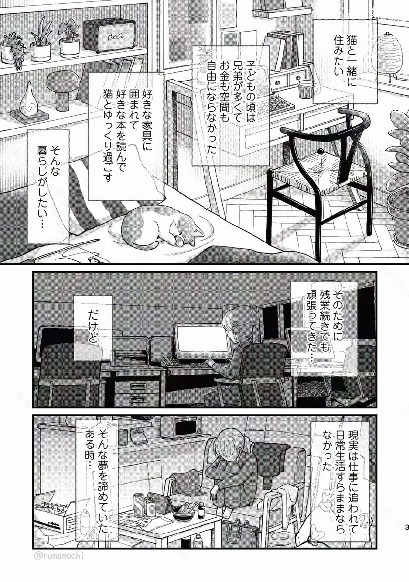 (2/8) 