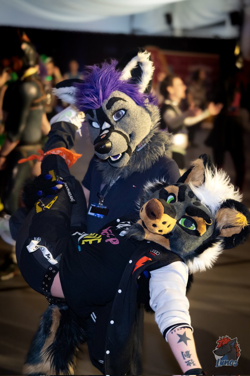 TylerTheJackal's tweet photo. Party animals! With @Furrite_Husky 🍻
Many thanks to @LunosWolf for taking this picture at @2Dance_NRW 😁
#fursuitfriday #partyanimal #furry https://t.co/wvhA0Xuihx