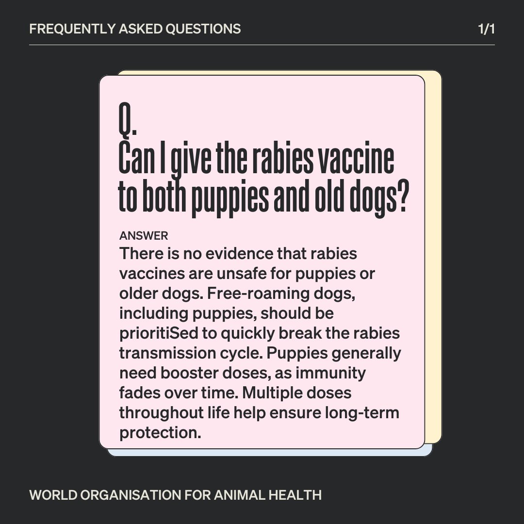 World Organisation for Animal Health (@woah) on Twitter photo Should puppies be vaccinated for rabies? For more information: woah.org/en/disease/rab…
#Rabies #dogs Should puppies be vaccinated for rabies? For more information: woah.org/en/disease/rab…
#Rabies #dogs