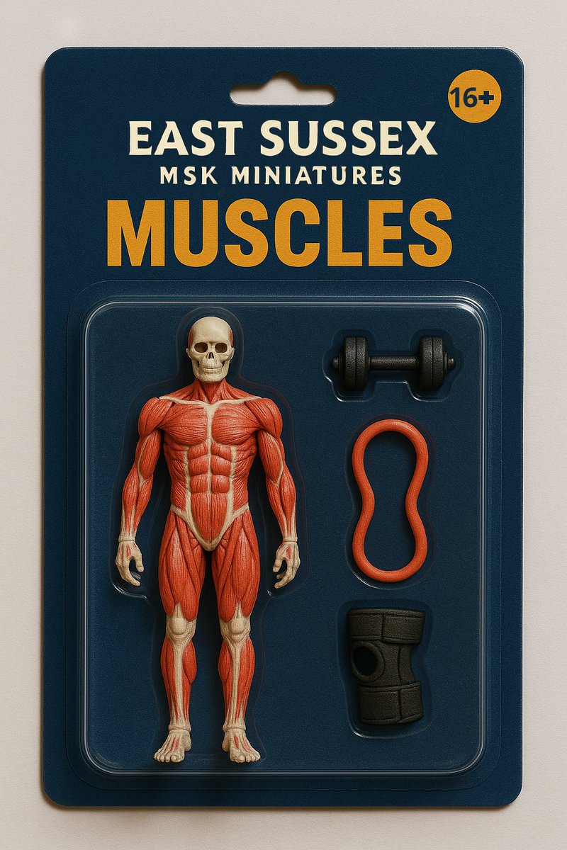 EastSussexMSK's tweet photo. Happy Friday! From #Bones, #Muscles & #Joints - the East Sussex MSK Miniatures - a bit of fun, but to be serious:
Got bone, joint or muscle issues?
β
Self-refer for physio: https://t.co/f6pqHYltu1
β
Self-manage: https://t.co/5veGodURO8
#ActionFigureTrend #ESMSK #Physiotherapy https://t.co/TKQi8BuwuU