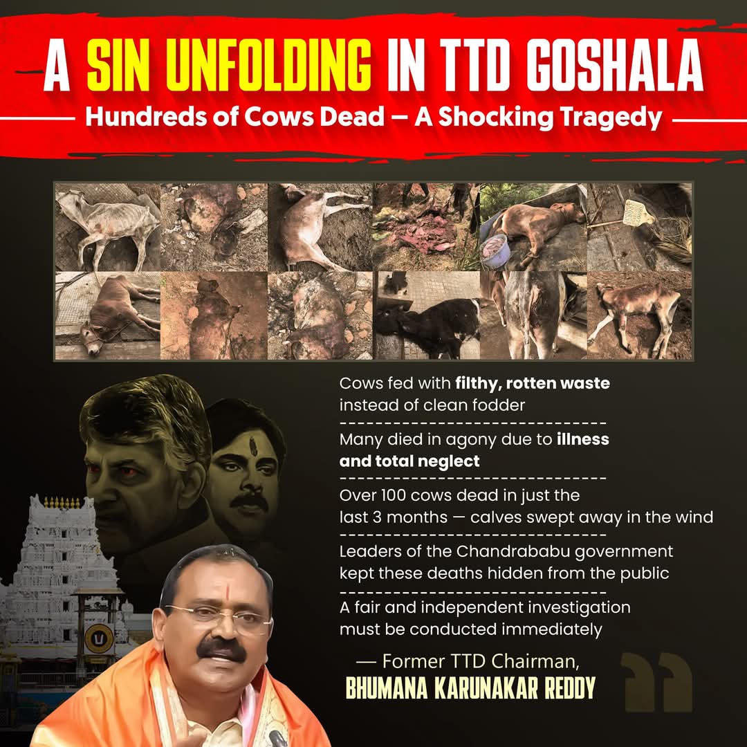 prasannaraju12's tweet photo. #JusticeForTTDCows
#YSRCPSocialMedia
#YSRCongressParty
#TTDcows https://t.co/uLgUr8qunX