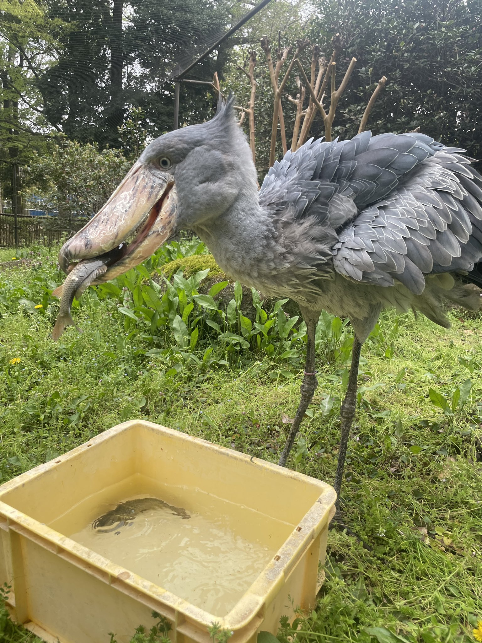 千葉県動物誌 千葉県動物誌 中古本・書籍 | ブックオフ公式オンラインストア
