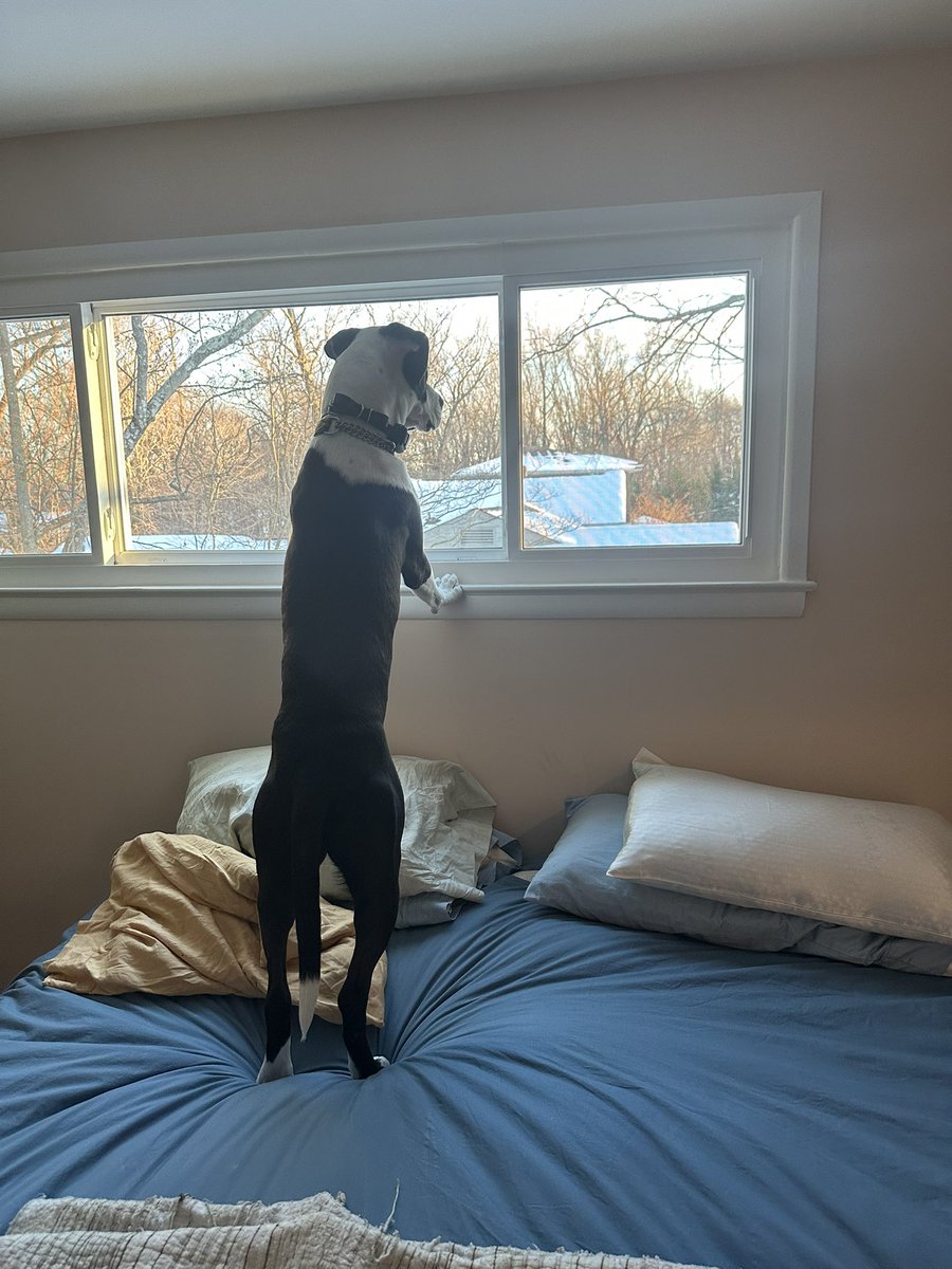 Peter M. Levine tweet media