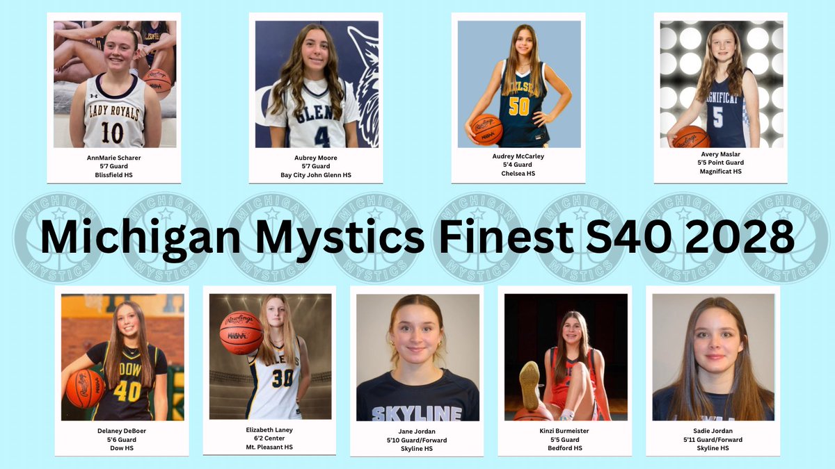Michigan Mystics tweet media