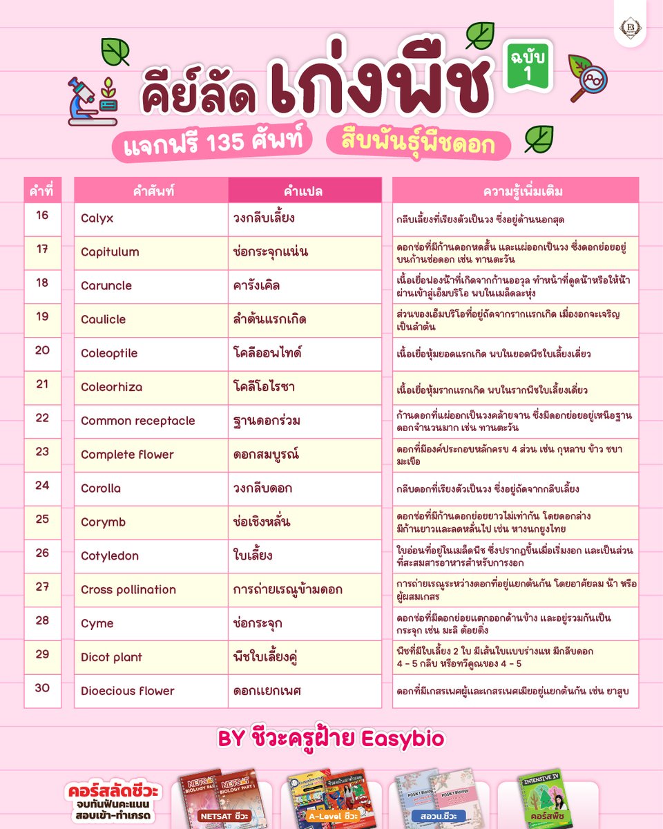 easybioKruFai's tweet photo. ม.5 ห้ามปัดทิ้ง!!
นี่คือเนื้อหาที่น้องต้องเจอในเทอมหน้า

📗คีย์ลัดเก่งพืช EP.1
รวม 135 ศัพท์ “สืบพันธุ์พื��ดอก” พร้อมสรุปสั้นๆ

#ชีวะครูฝ้าย #dek69 #dek70 #ALevelชีวะ #สอวนชีวะ https://t.co/AvaSw0qT09