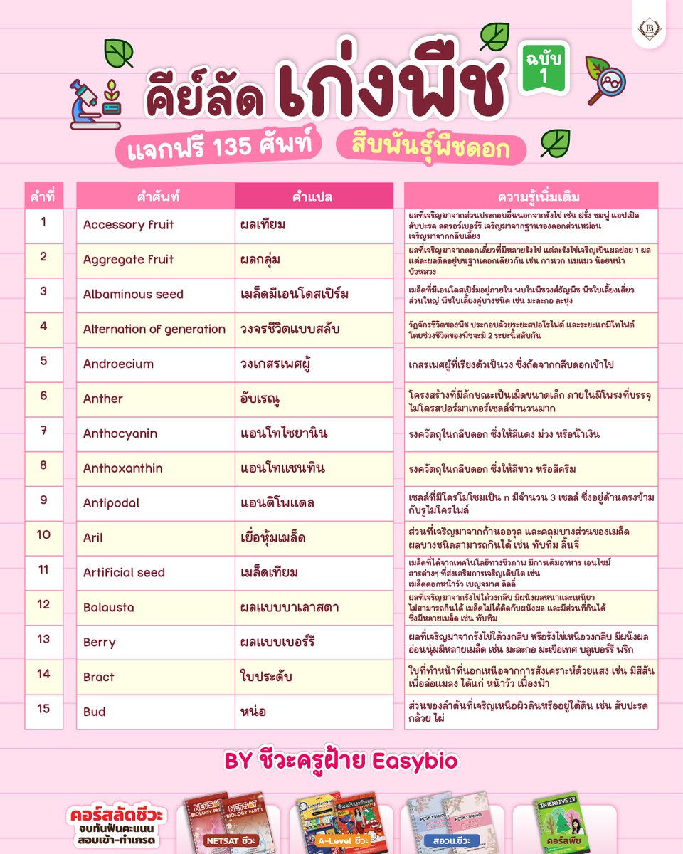 easybioKruFai's tweet photo. ม.5 ห้ามปัดทิ้ง!!
นี่คือเนื้อหาที่น้องต้องเจอในเทอมหน้า

📗คีย์ลัดเก่งพืช EP.1
รวม 135 ศัพท์ “สืบพันธุ์พื��ดอก” พร้อมสรุปสั้นๆ

#ชีวะครูฝ้าย #dek69 #dek70 #ALevelชีวะ #สอวนชีวะ https://t.co/AvaSw0qT09