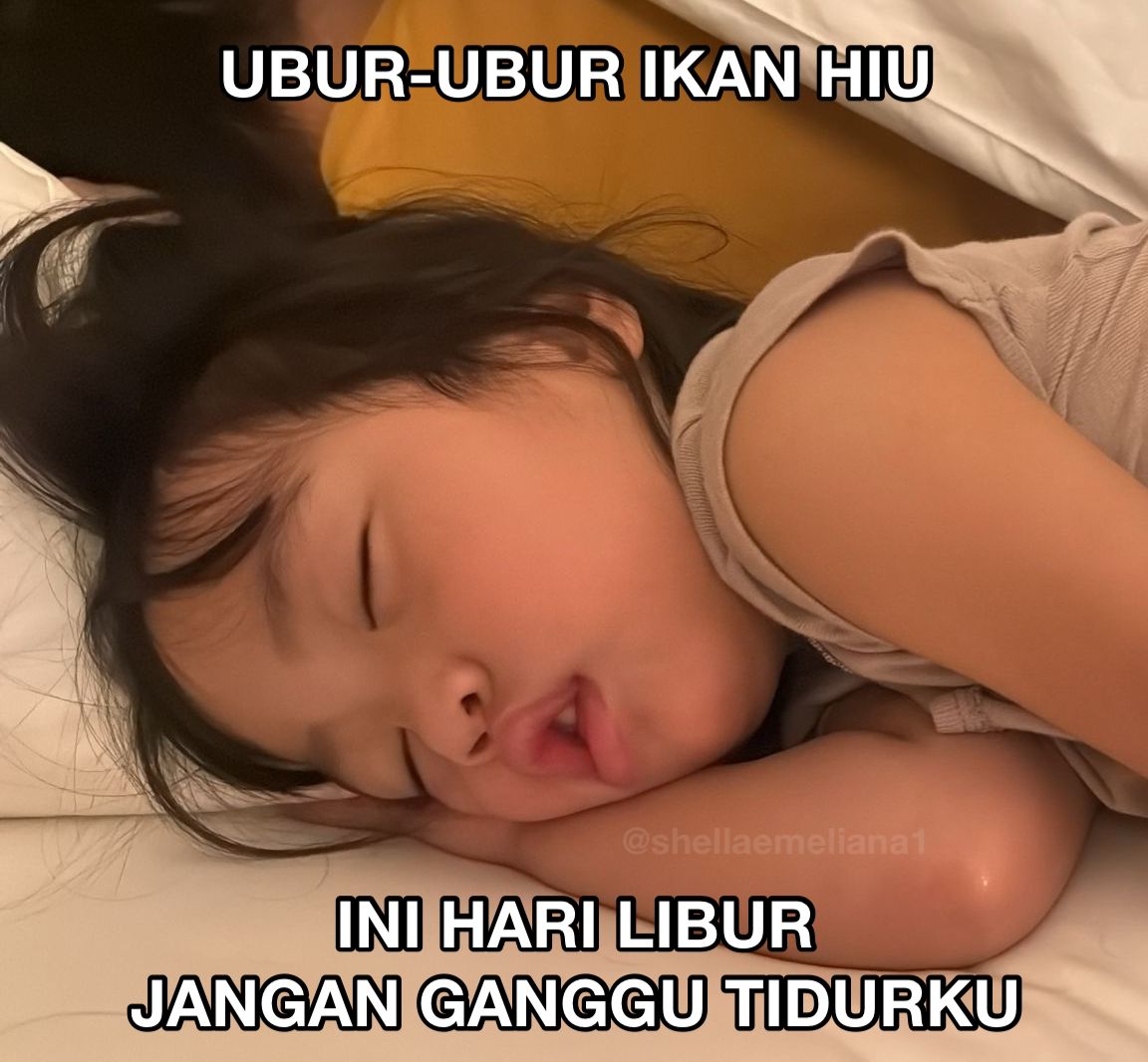 S H E L L A tweet media