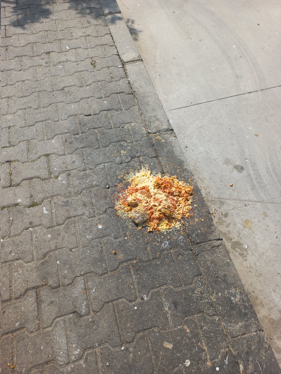 Bunun adı köpek beslemek değil, pislik. Universal laboratories denen şirket istisnasız her gün sokağa yemek döküyor. Kabın içinde filan değil ha. Öylece karşı kaldırımlarına döküyorlar.  Bu pisliğe ne zaman dur diyeceksiniz? <a href="/ciglibelediyesi/">Çiğli Belediyesi</a>