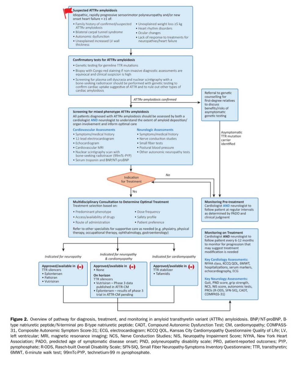 Diagnosis and Management of Mixed Phenotype Hereditary Transthyretin Amyloidosis: A Case-Based, Canadian Perspective - CJC Open cjcopen.ca/article/S2589-…
#amyloidosis <a href="/CJCJournals/">CJC Journals</a> <a href="/UHN/">University Health Network</a> <a href="/uhnfoundation/">UHN Foundation</a> <a href="/Amyloidosisfdn/">Amyloidosis</a>