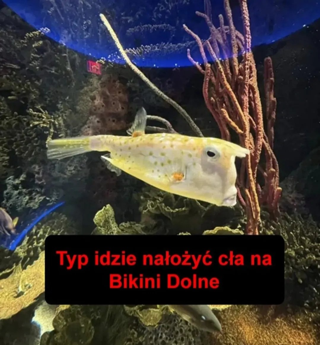 murczkiewiczyzm's tweet photo. https://t.co/LywCeuaaTR