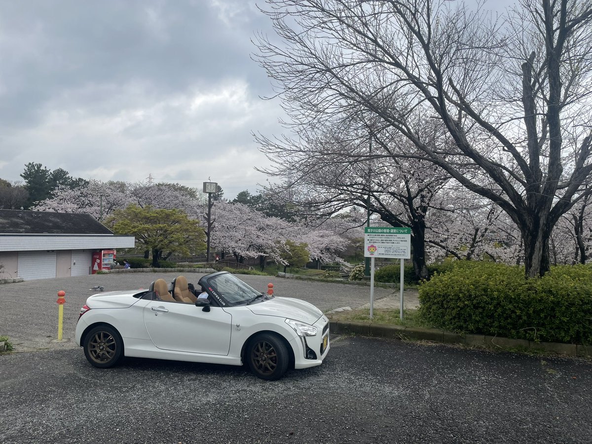 Byper_yam's tweet photo. #さくら 満開です。
#荒子川公園 https://t.co/Rnaw4iwoeq