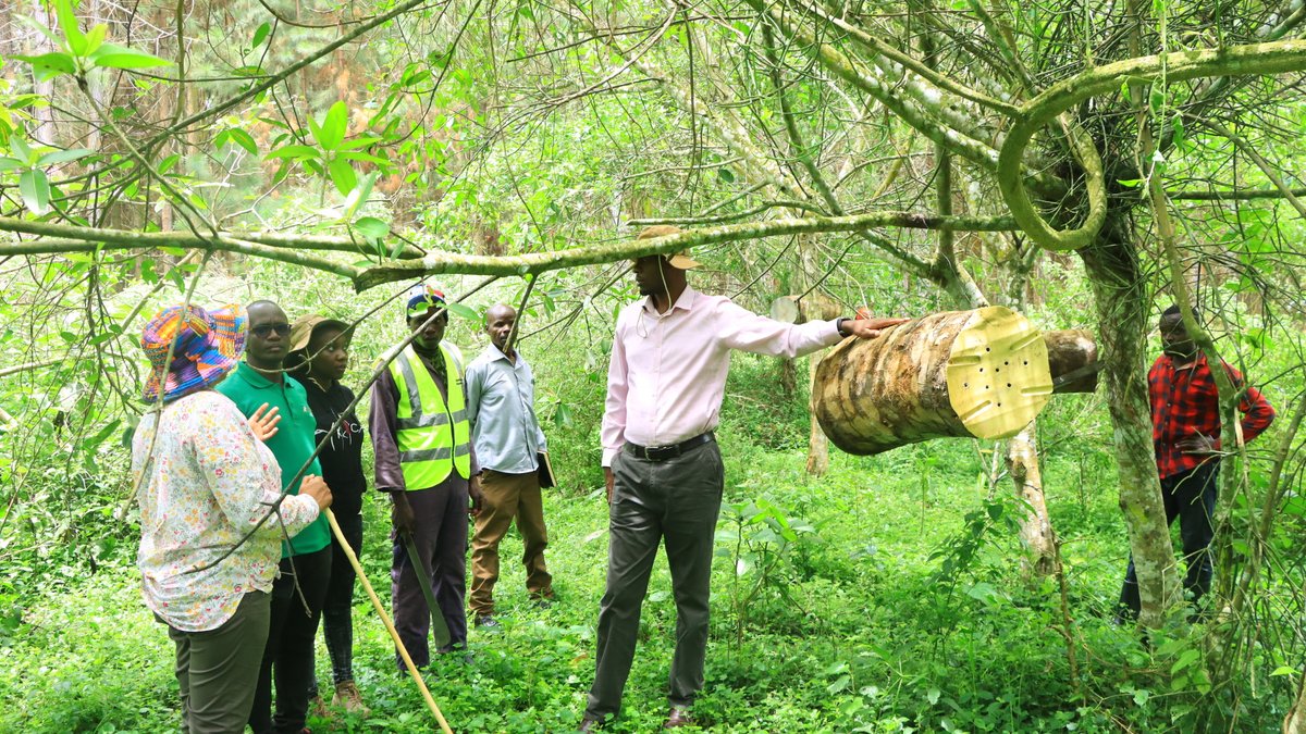 Uganda Timber Growers Association tweet media