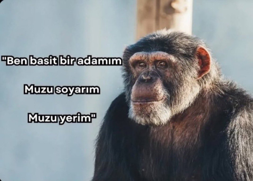 semihpole's tweet photo. Sagomu açarım sagolarım https://t.co/OFPnbGNNRW