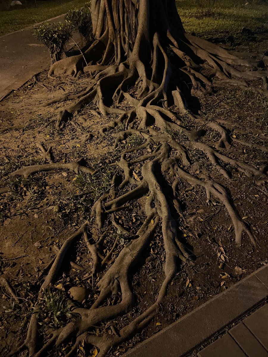 irvan_irvansyah's tweet image. 歳月の跡。

#高雄です
#素敵な一日でした