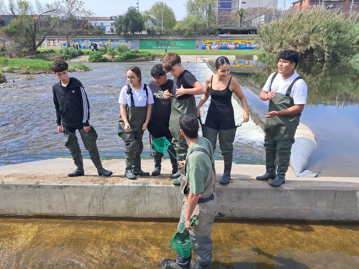 Sortida al Parc Fluvial del Besòs amb l'alumnat de 3r d'ESO. L'activitat ha estat conduïda pel CERM (Centre d'Estudis dels Rius Mediterranis). L'objectiu de la sortida és avaluar el nivell de contaminació del riu Besòs i com afecta a l'ecosistema.
...
#riunet #parcbesòs #cerm