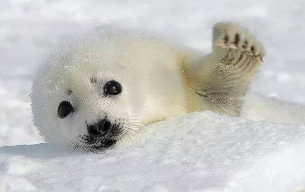 house of fishing 🐟 tweet media