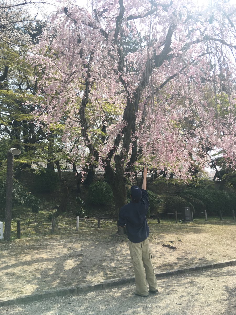 BAE173_member's tweet photo. [#유준]

✋🏻🌸

#BAE173 #비에이이173
#YOOJUN https://t.co/zdfLyTUYM7