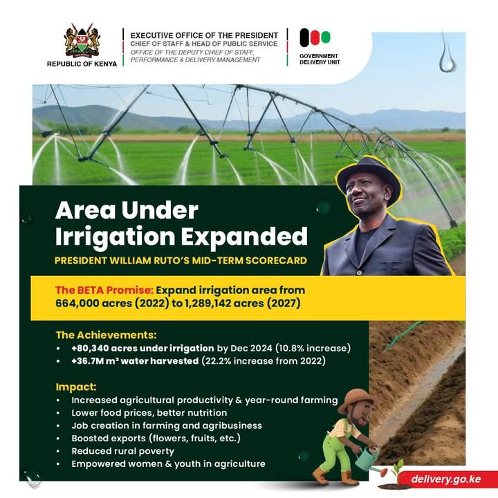 Jossmurage2's tweet photo. Dr Ruto's Government's strategic plan on irrigation expansion represents a solid step toward achieving the ambitious goal of 1,289,142 acres by 2027.
More information accessible at https://t.co/UwPxjrgss8
@DCoS_KE
@GDUDelivery
Mid Term Achievements
#DeliveringThePlan
#BETAPlan https://t.co/YxQdMDA2YX