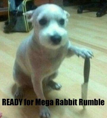 KryptiexI's tweet photo. Gmega @MegaRabbitNFT 
Ready for Mega Rabbit Rumble😉

@max_vezeus 
@AqnXxkmx3HkbFWt 
@purplearccc 
#MegaRabbit https://t.co/YkkPzvOD0P