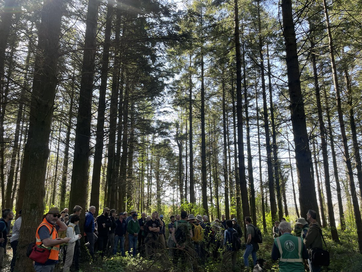 Pro Silva Ireland tweet media