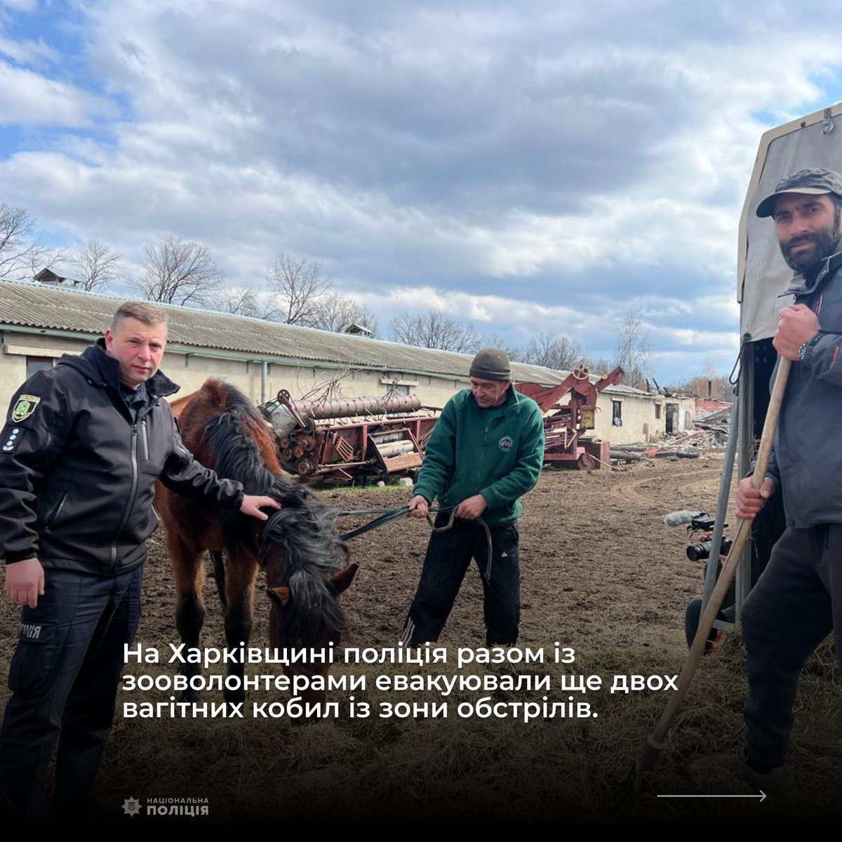 PoliceKharkiv's tweet photo. На Харківщині поліція разом із зооволонтерами евакуювали ще двох вагітних кобил із зони обстрілів
https://t.co/XwPgkfRPEl https://t.co/z6B9xakVa9