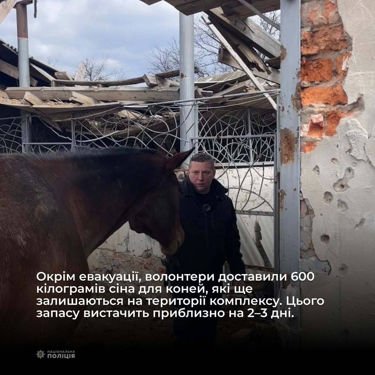 На Харківщині поліція разом із зооволонтерами евакуювали ще двох вагітних кобил із зони обстрілів
t.me/police_kh_regi…
