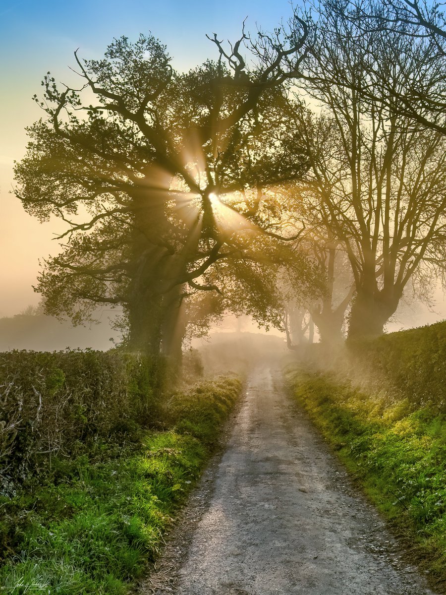 Something a bit different from me🙂