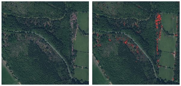 Mallon Technology tweet media