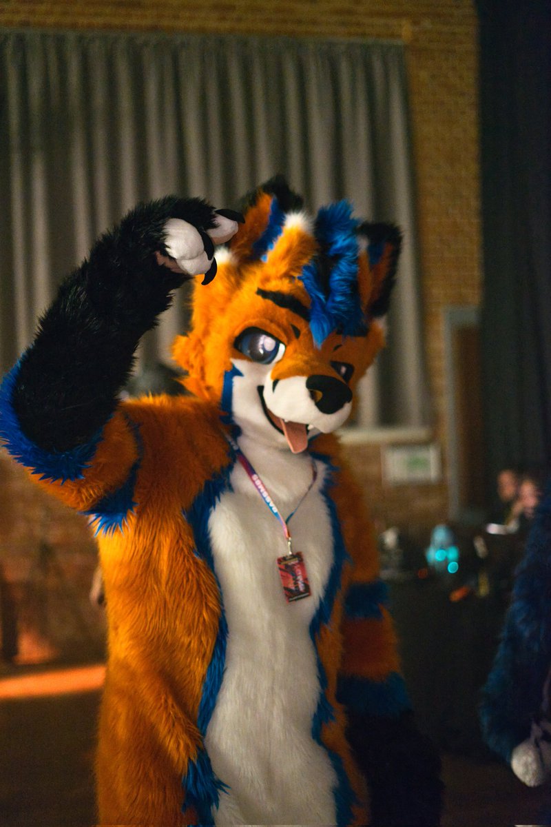 Fluffyfox09 tweet media