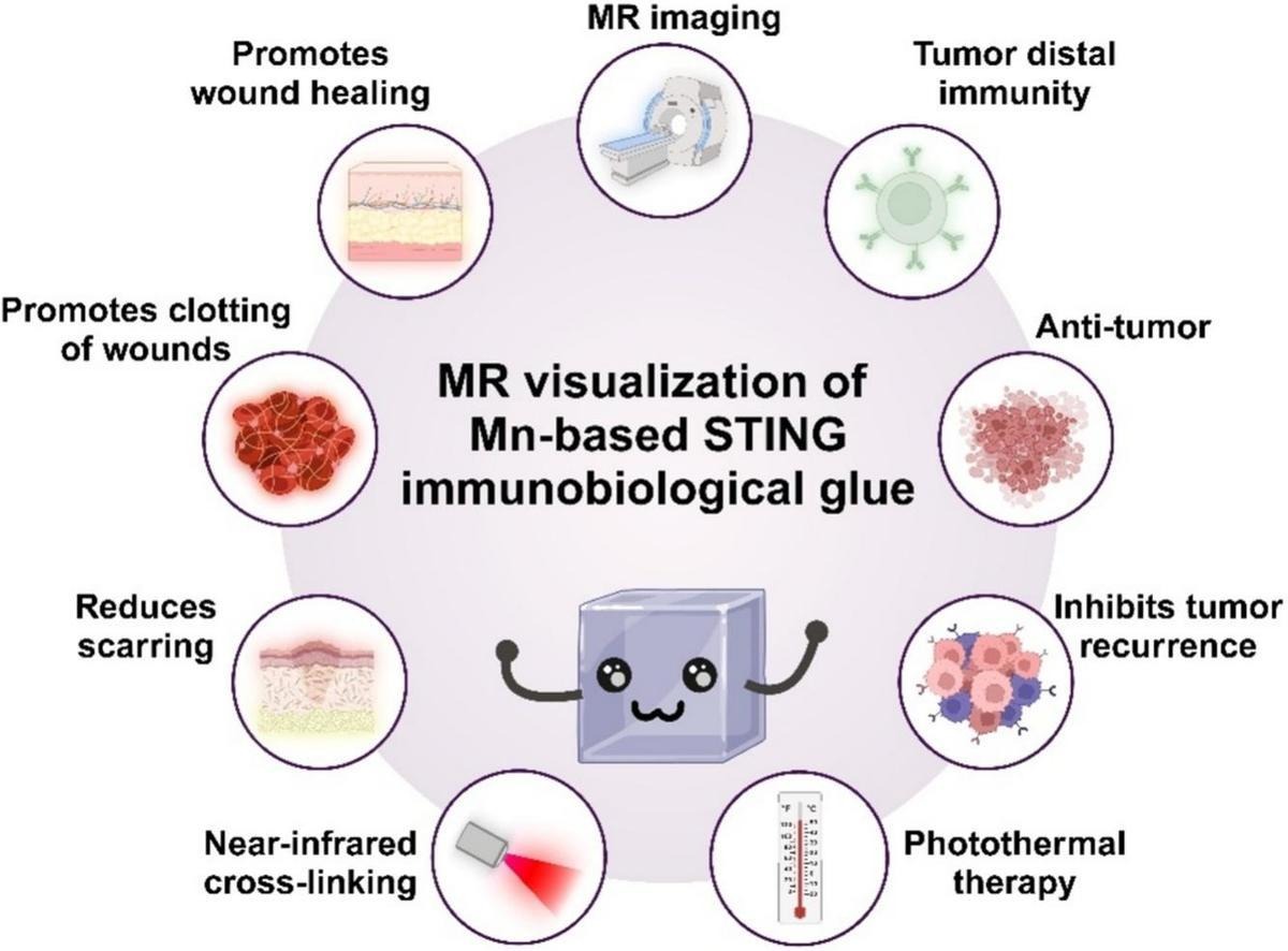 JCRnEDITORS's tweet photo. STING-activable immunomodulatory bio-glue for multiple postsurgical management.
| Xue-Bo Yin, Shanghai Univ. of Engineering Science |
[50 days' free access]
#bioglue #postsurgical
https://t.co/z73dzeDahY https://t.co/8ZRNIrK8t2