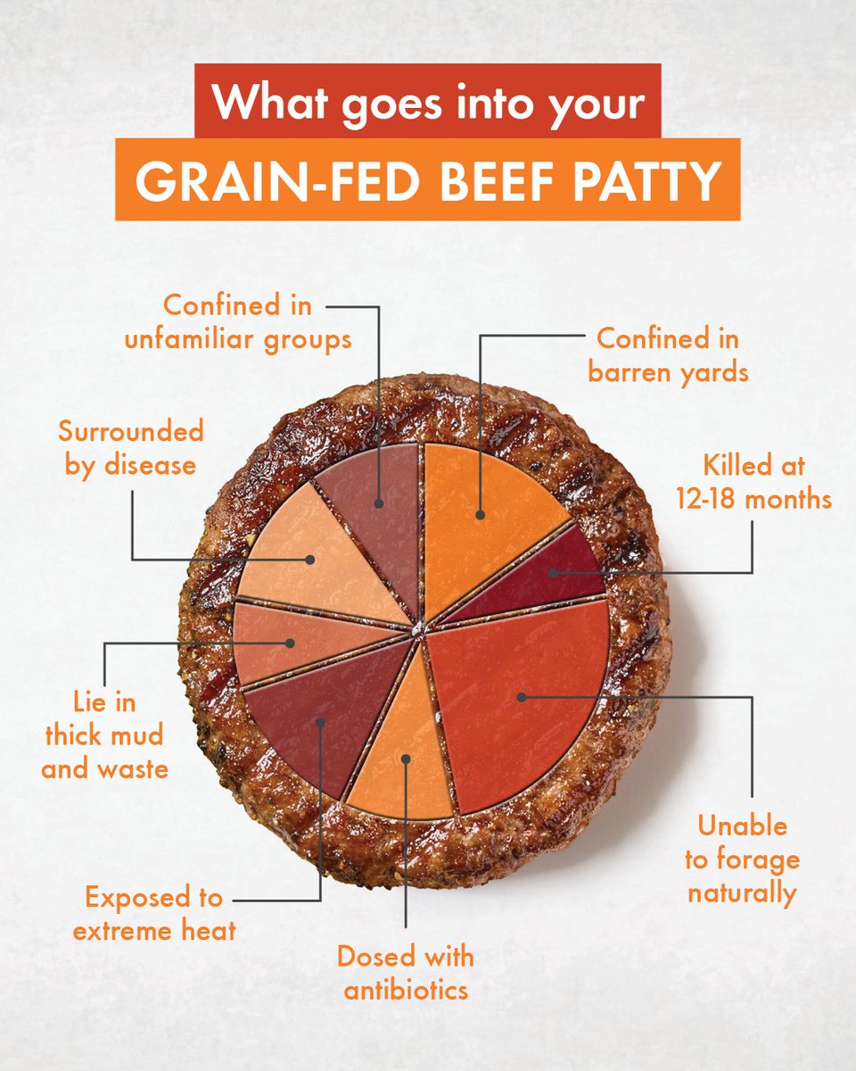 World Animal Protection ANZ tweet media