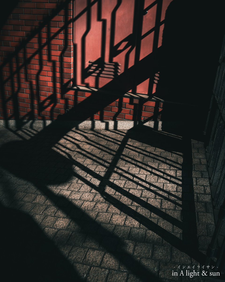 yuto_shiomi's tweet photo. #inpraiseofshadows 
#表参道 #contemporaryphotography https://t.co/PJqh5oyoQc