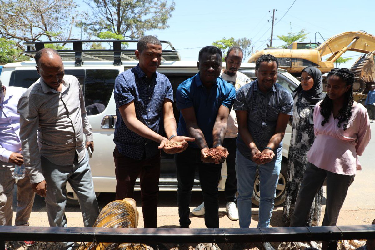 MyControl2025's tweet photo. Project consortium led by the Project Coordinator from BOKU took a trip to Babile District to assess input storage facility &amp; local practices.

@BOKU University @Haramaya University @Oda Bultum University @OeAD #APPEAR
April 9/2025 https://t.co/7zrCdRsNOl