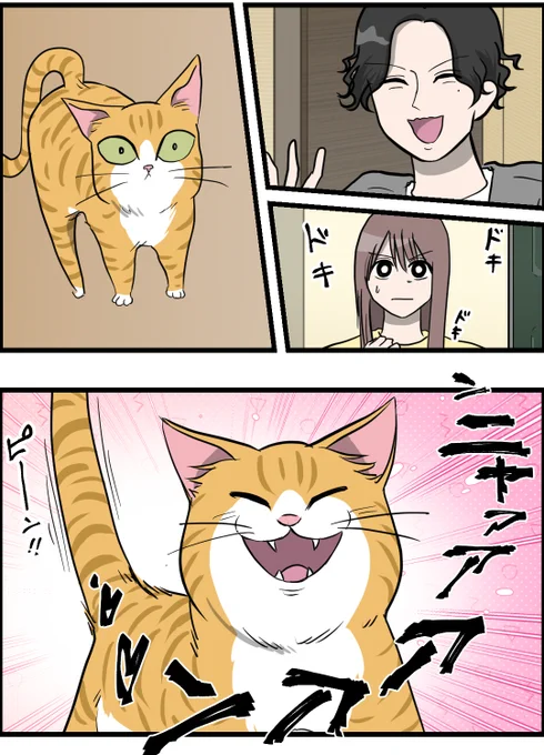 (3/3) 
