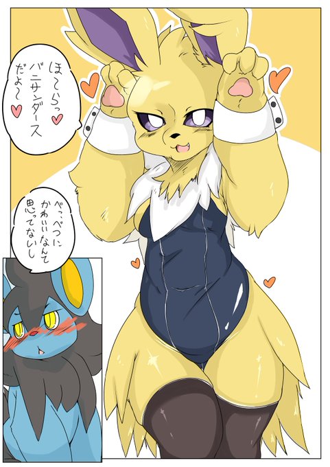 ルクシオとサンダース 