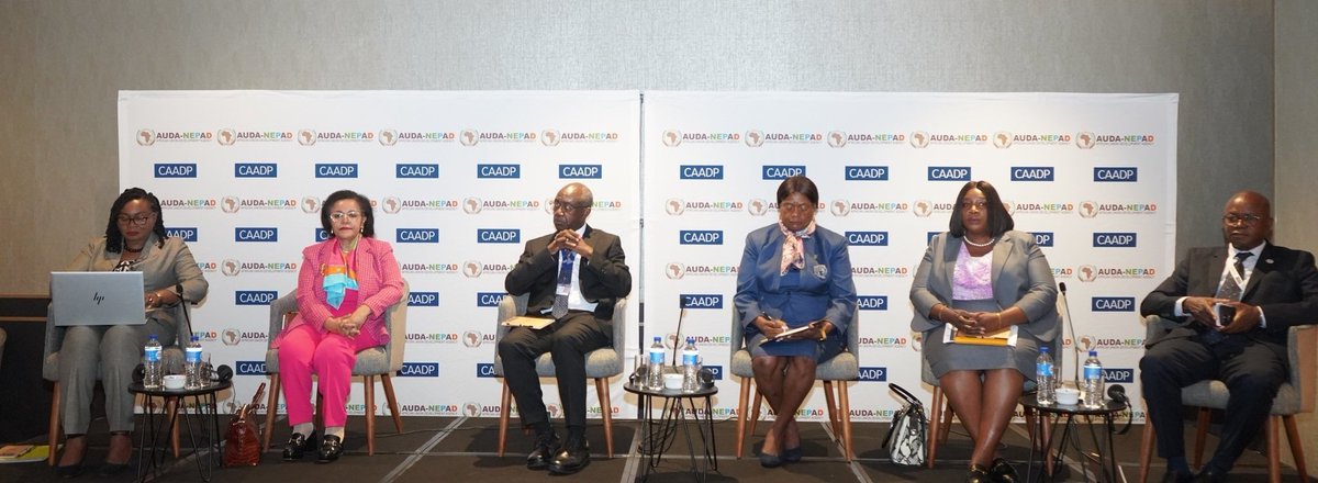 AU_DARBE's tweet photo. The @AU_DARBE &amp; @NEPAD_Agency convened a Permanent Secretaries of Agriculture Leadership Dialogue, in #Lusaka, Dr. @JanetEdeme  delivered a statement, emphasizing Coordination &amp; multi-sectoral approaches to achieve success  @AUC_CAADP, #KampalaDeclaration  &amp; Action plan 2026-2035 https://t.co/en1cNHeNtM