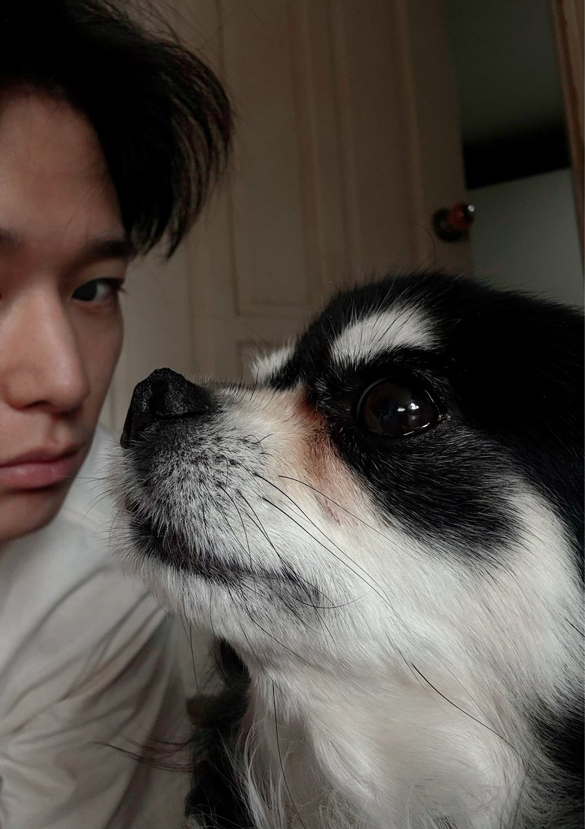 250411 🐱💬 [7:45pm kst]

juyeon sent a photo with yongyi