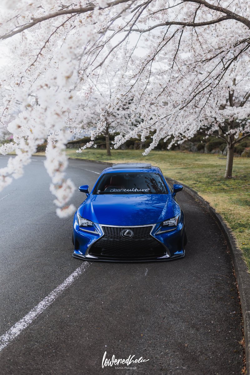 ccfam_RC350's tweet photo. 桜 ✖️ RC 🌸

縦写真なので画像タップして見てもらいたいです✨

#桜と愛車 https://t.co/FqSFpmI6EA